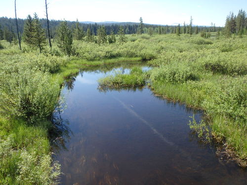 GDMBR: High altitude wetlands.